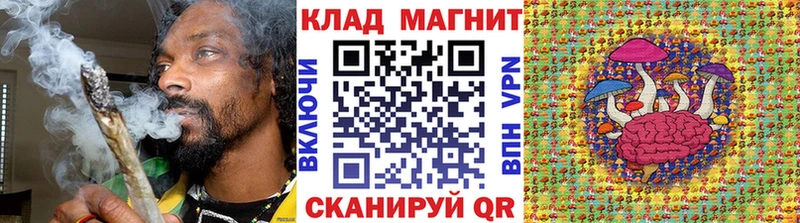 Где купить Карачев ГЕРОИН  Каннабис  COCAIN  Псилоцибиновые грибы  блэк спрут ТОР  Гашиш  МЕФ 