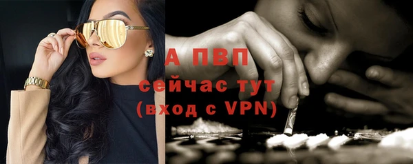 мдпв Майский