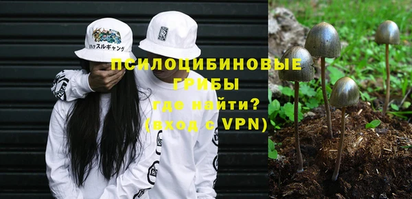 мдпв Майский